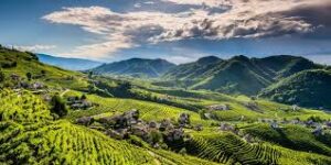 Valdobbiadene, un viaggio tra i vigneti italiani più apprezzati